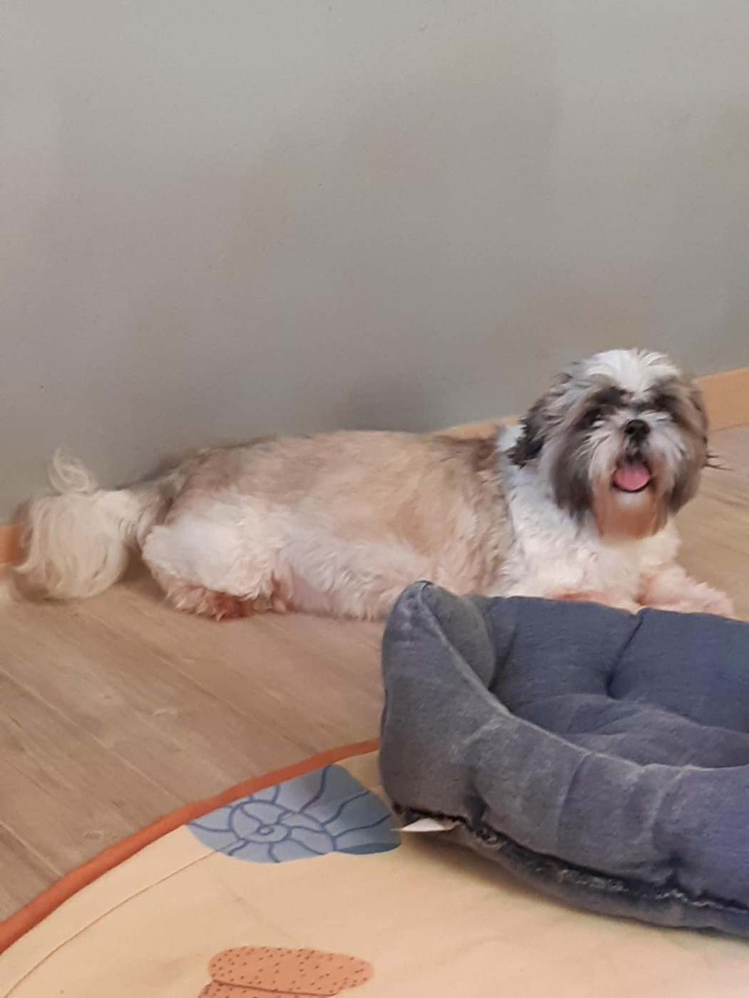 Des bébés sont nés bientôt ils seront en ligne